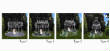4Types4W.jpg
