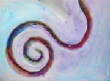 CDSCN0191v34W.jpg