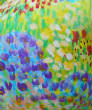 DSCN0049v3.jpg