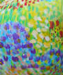 DSCN0049v34w.jpg