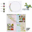 FlowerBallDiagramSG4W.jpg