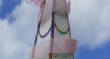 RB800Detv24W.jpg