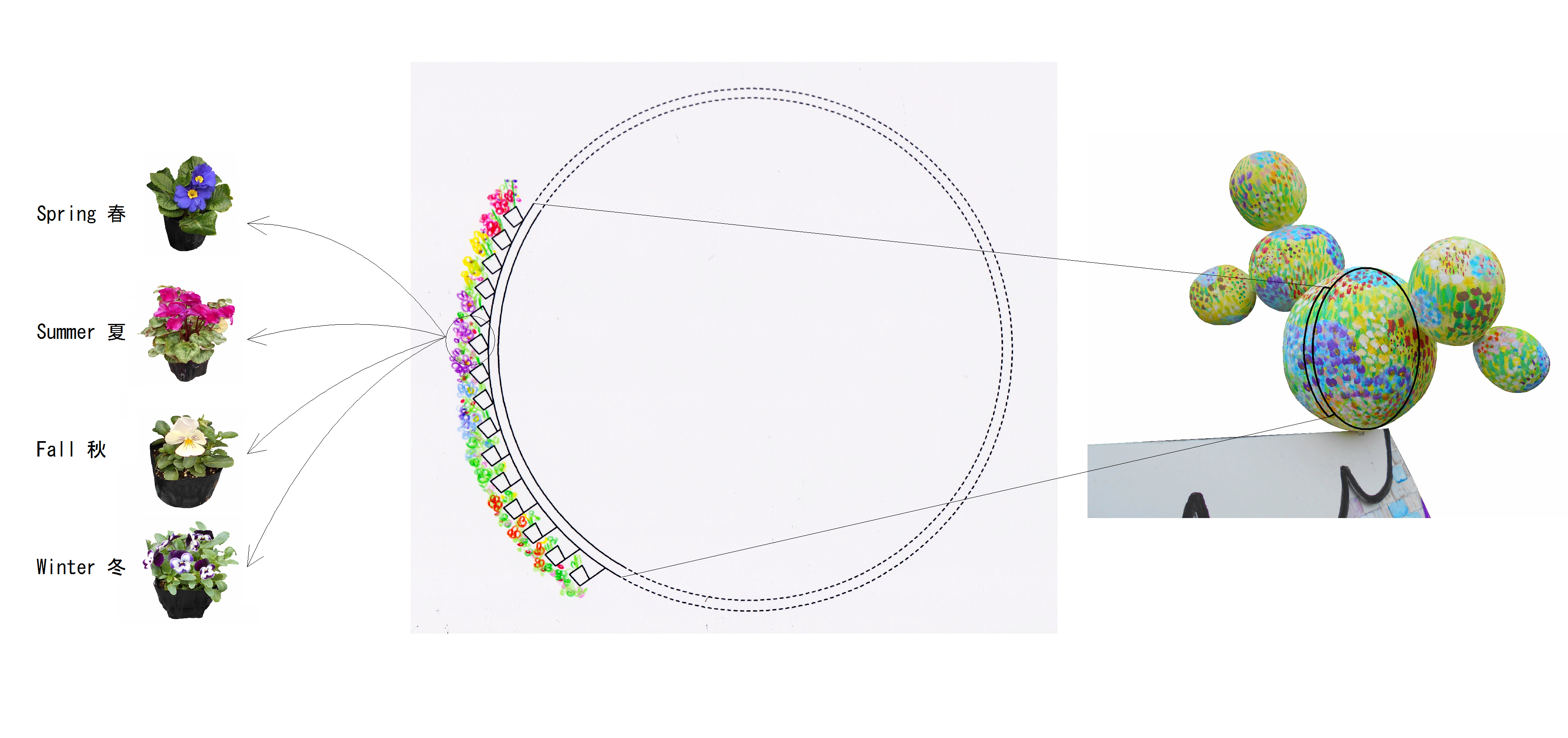 FlowerBallDiagram_Jan_24_1.jpg